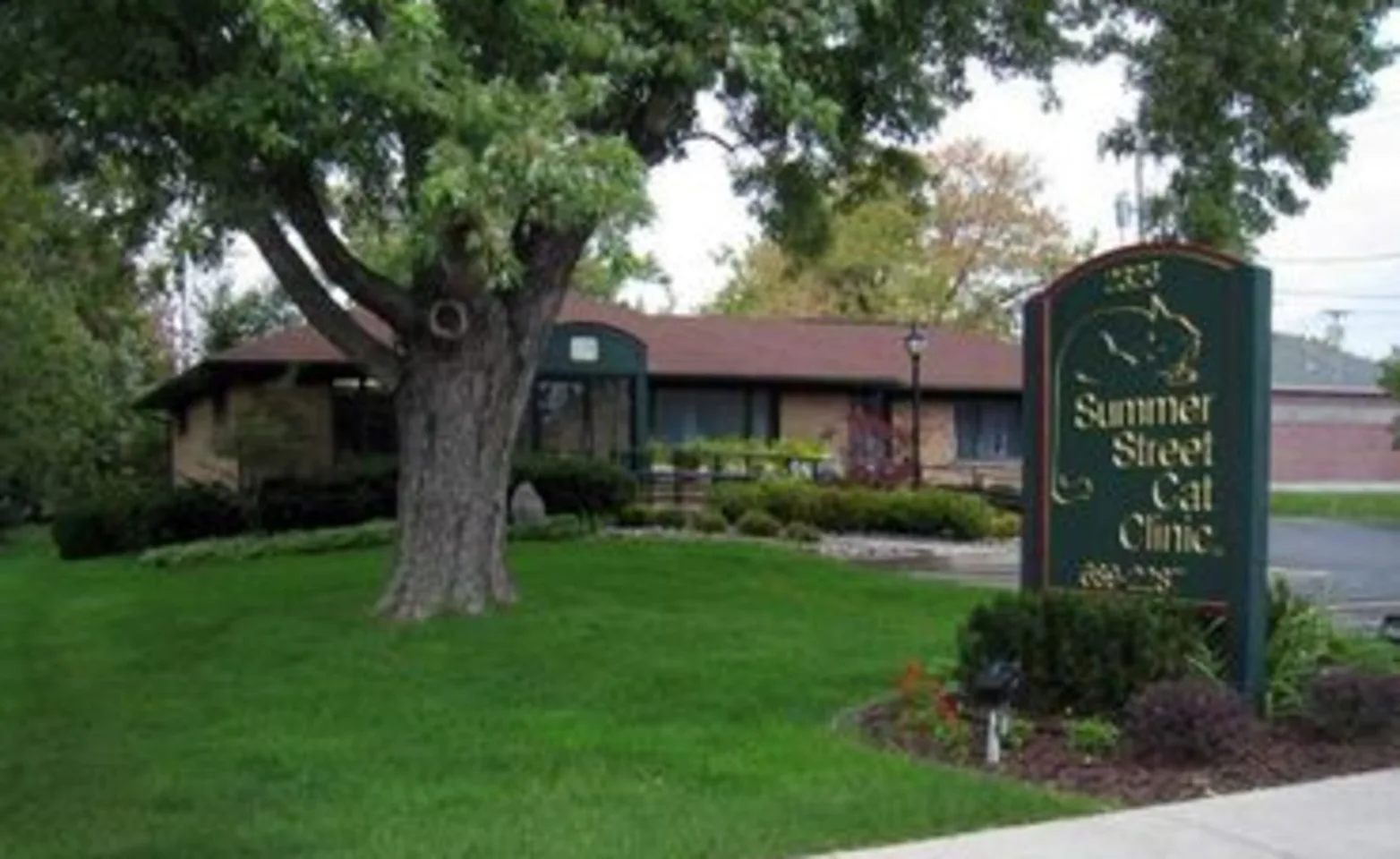 Exterior of Summer Street Cat Clinic's Getzville location