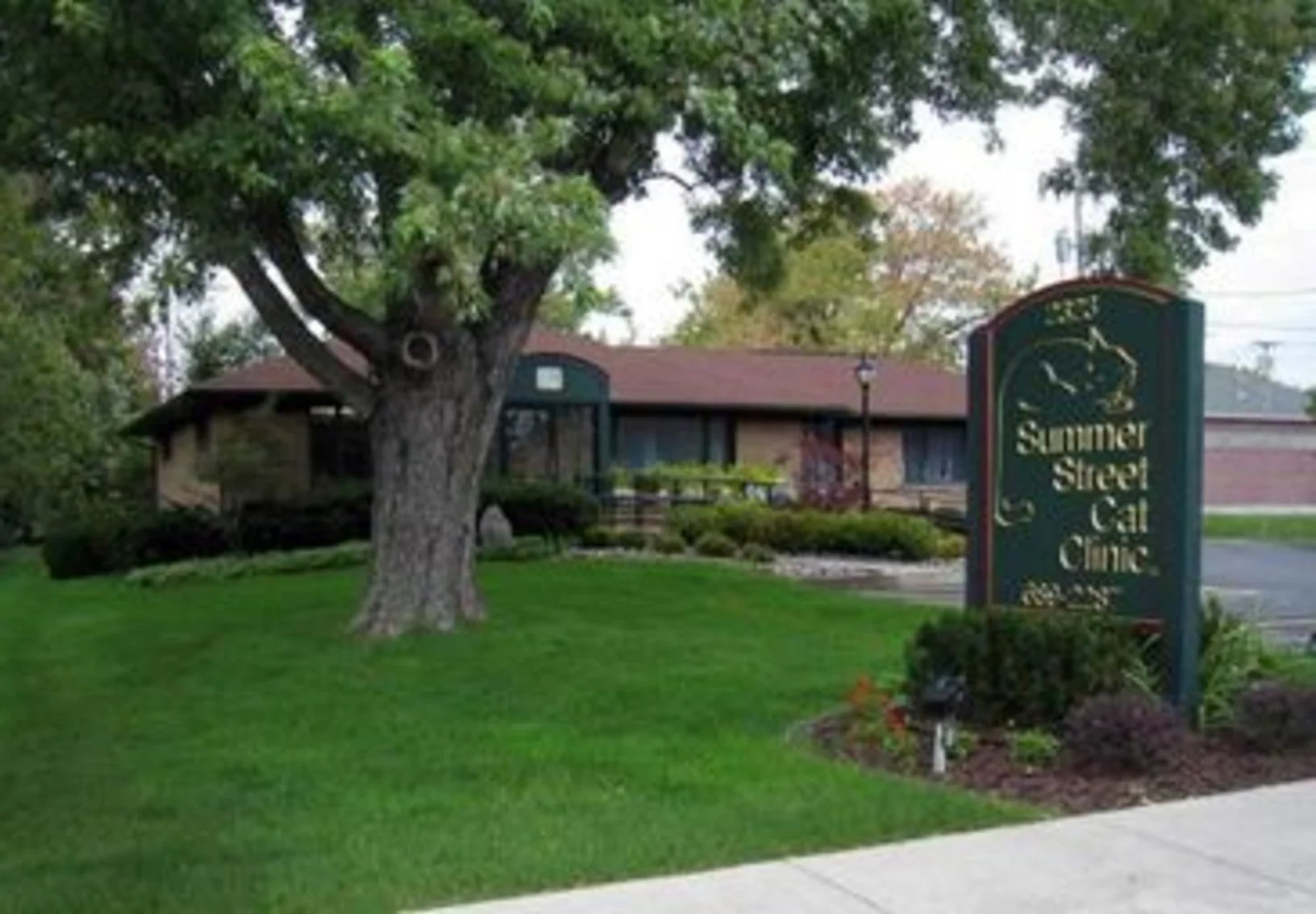 Exterior of Summer Street Cat Clinic's Getzville location