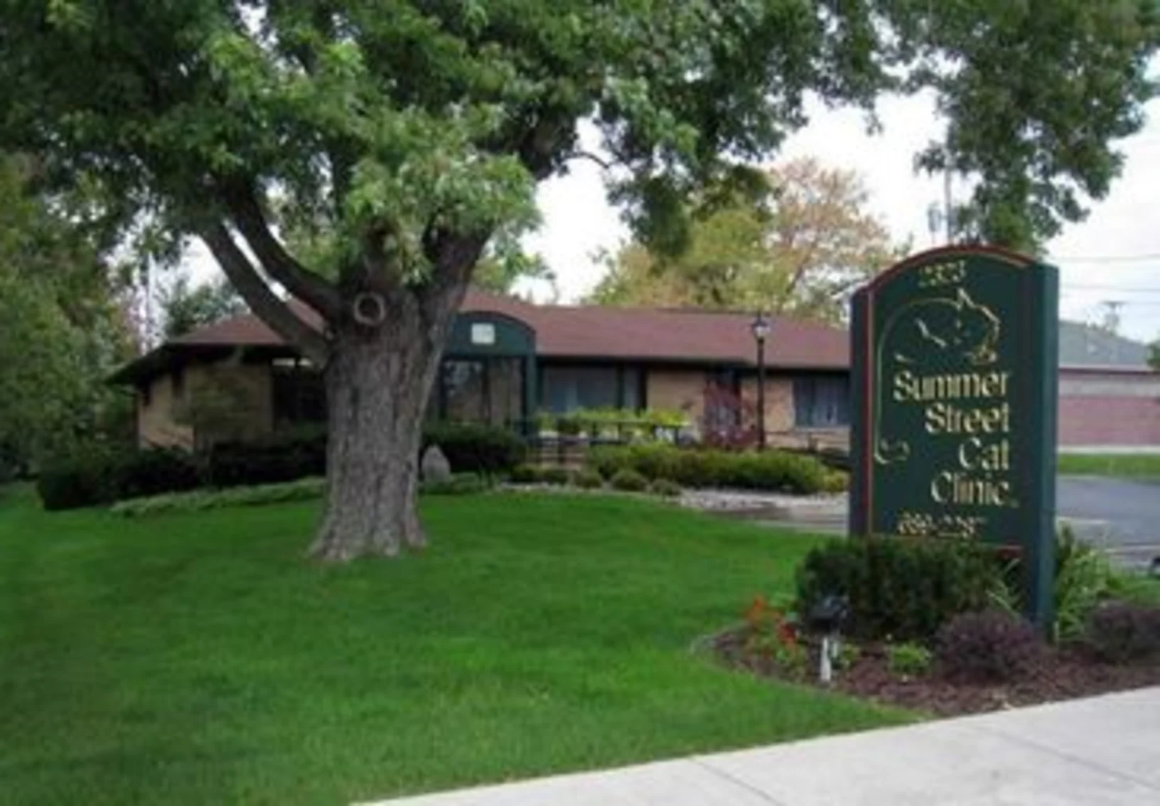 Exterior of Summer Street Cat Clinic's Getzville location