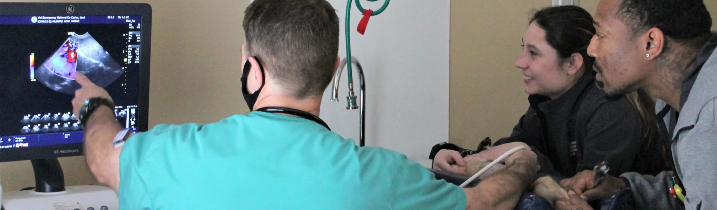 Vet pointing at x-rays Vet pointing at x-rays
