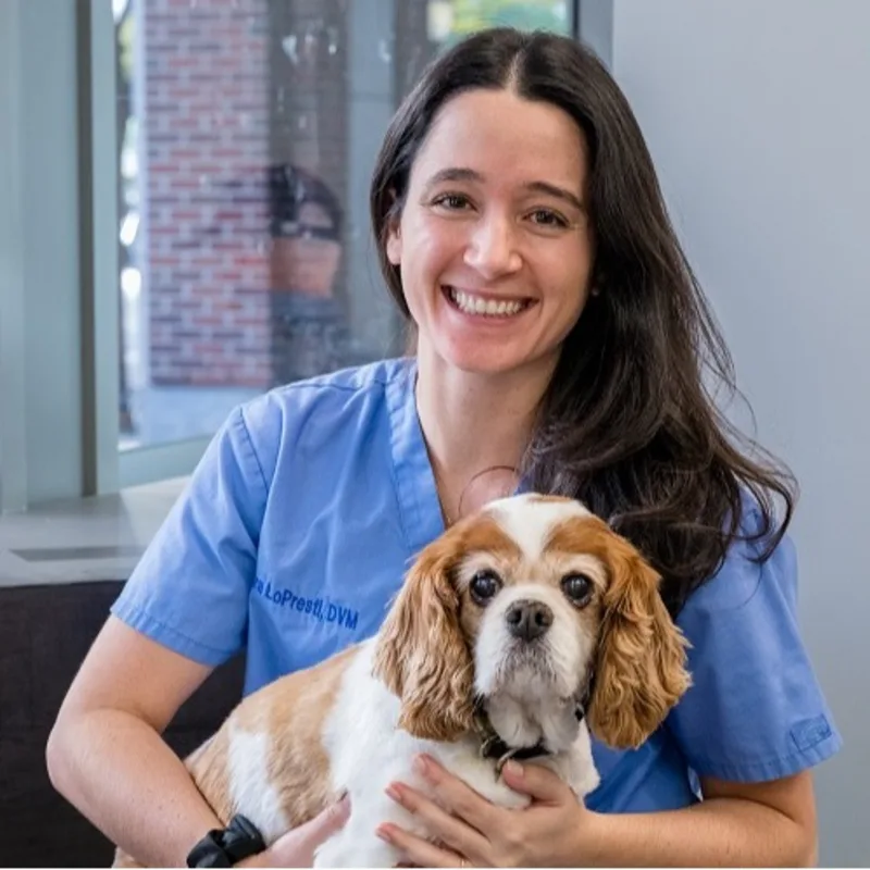 Sara  LoPresti Sara  LoPresti