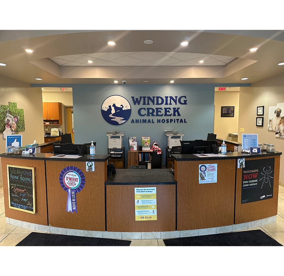 Lobby of Winding Creek Animal Hospital