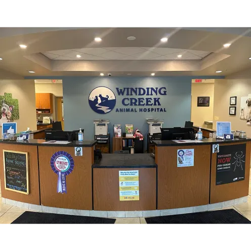 Lobby of Winding Creek Animal Hospital