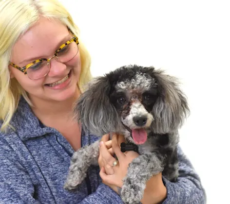 Blonde woman in glasses holding gray dog. Blonde woman in glasses holding gray dog.