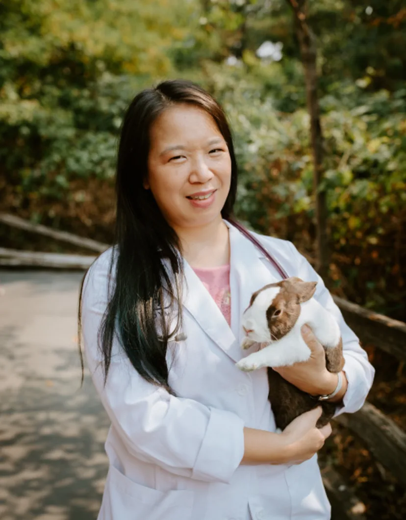 Dr. Irene Choi  at North Creek Pet Hospital