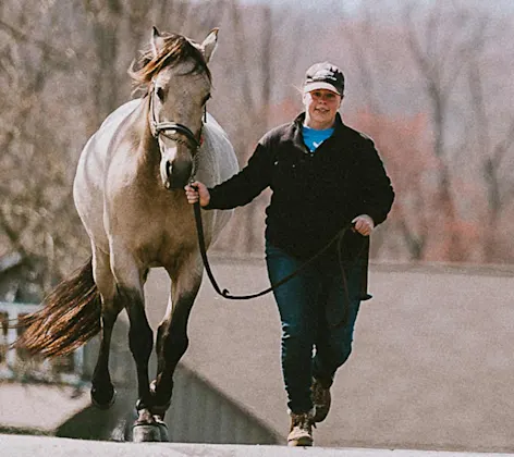 Woman leading a horse Woman leading a horse