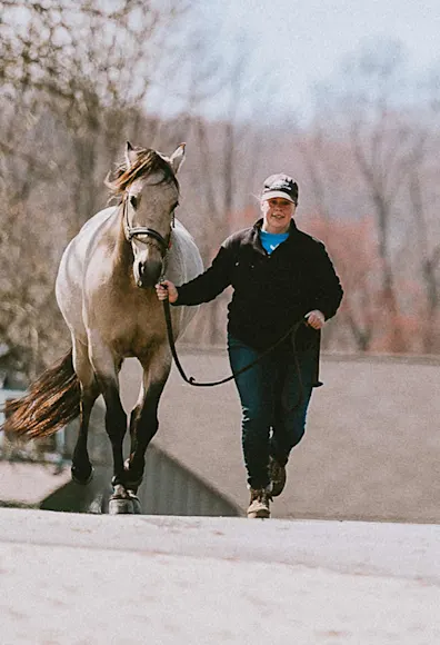 Woman leading a horse Woman leading a horse