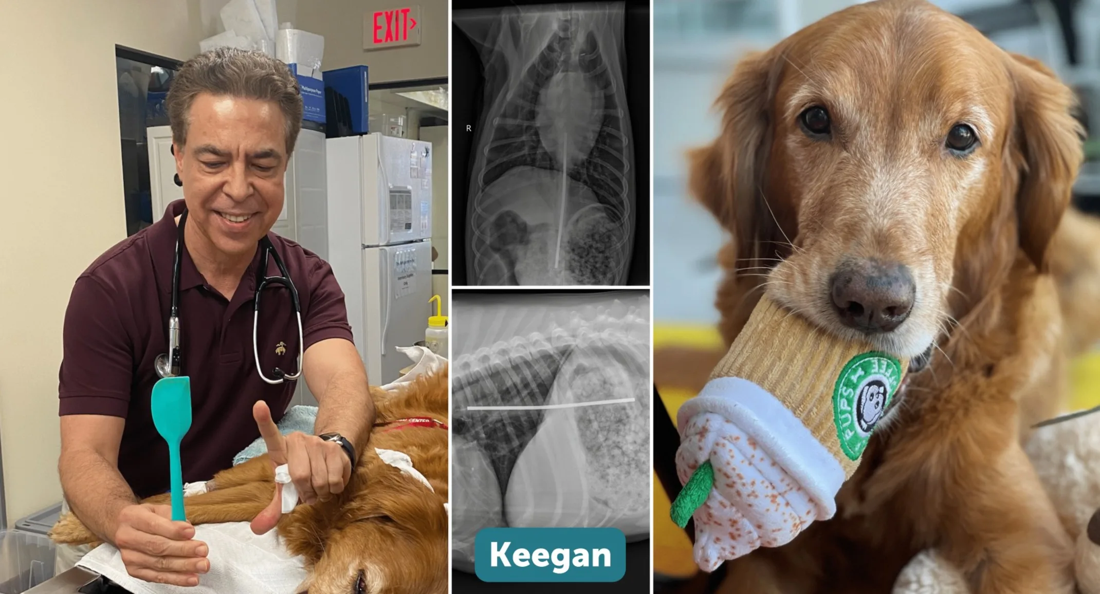 Collage of Keegan receiving care, x-rays, and Keegan holding a toy in his mouth Collage of Keegan receiving care, x-rays, and Keegan holding a toy in his mouth