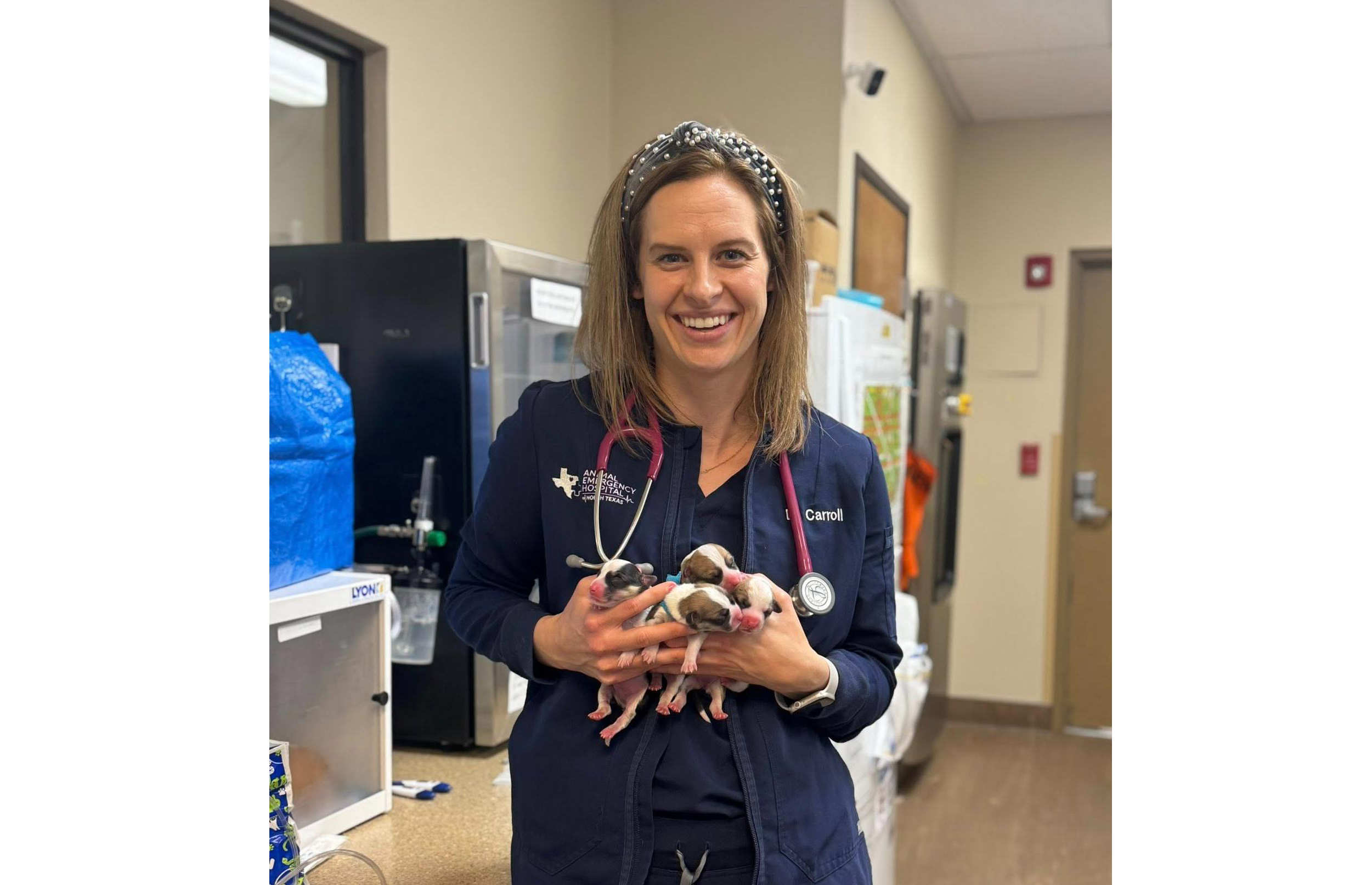 Dr. Carroll holding four small puppies.