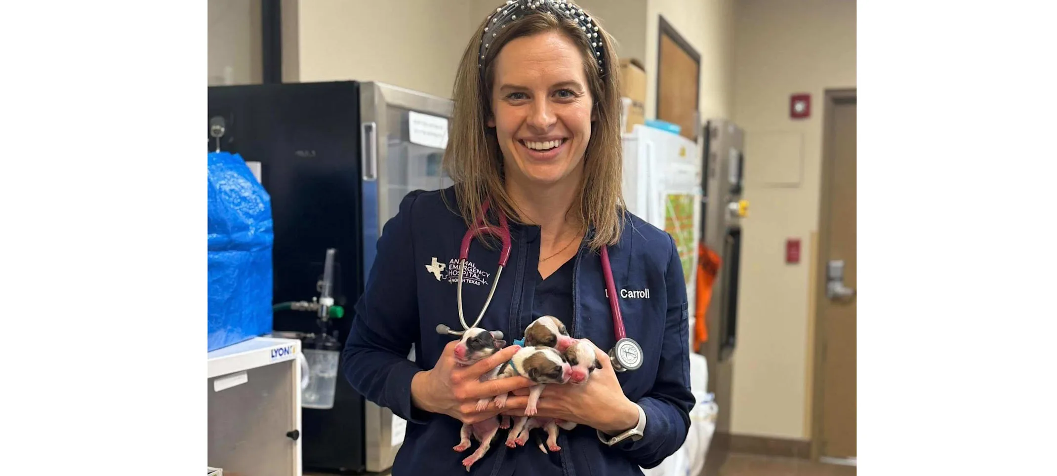 Dr. Carroll holding four small puppies. Dr. Carroll holding four small puppies.