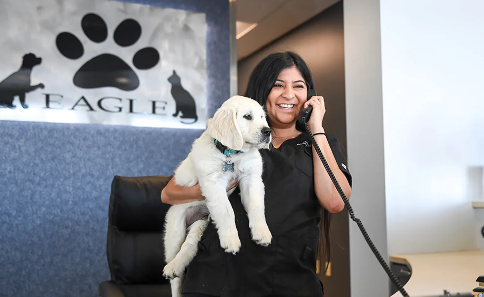 Staff with a golden retriever puppy Staff with a golden retriever puppy
