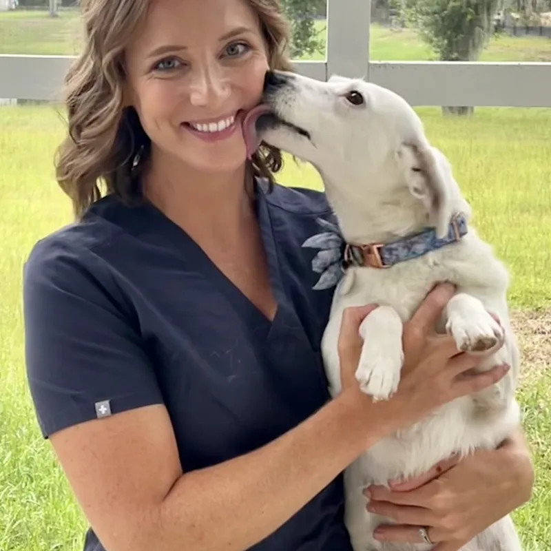 Dr. Megan Johnston Dr. Megan Johnston