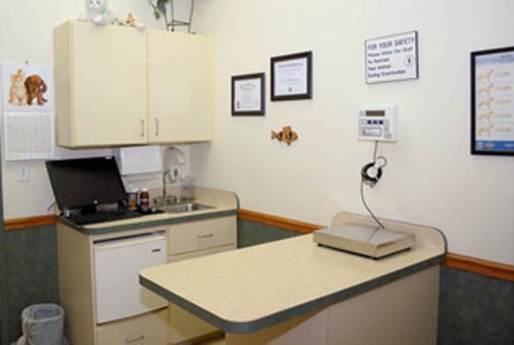 Exam Table at Alta Animal Hospital
