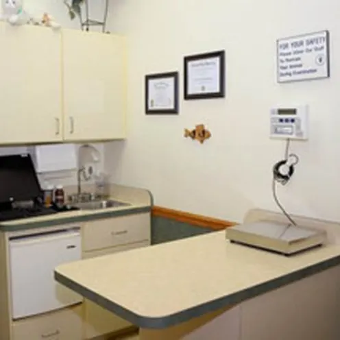 Exam Table at Alta Animal Hospital