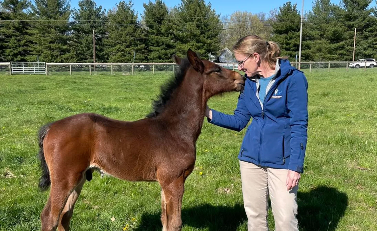 Woman with a foal. Woman with a foal.