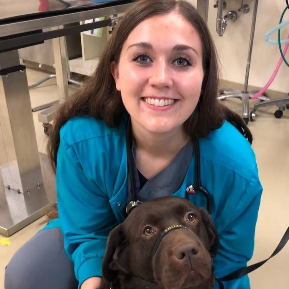 Pencil puppy placeholder for Stephanie