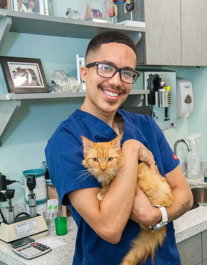 Erick Rodriguez with cat at Battery Park Veterinary Hospital