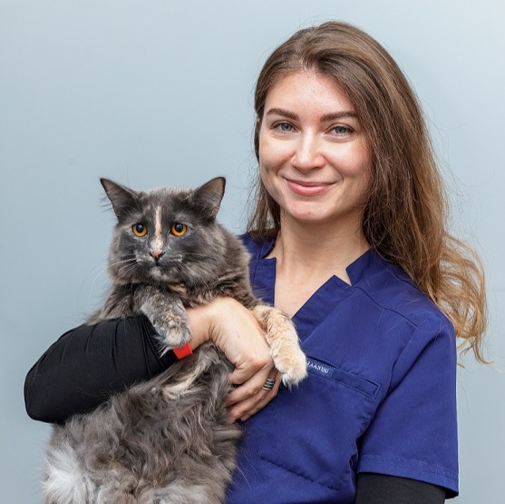 Erick Rodriguez with cat at Battery Park Veterinary Hospital