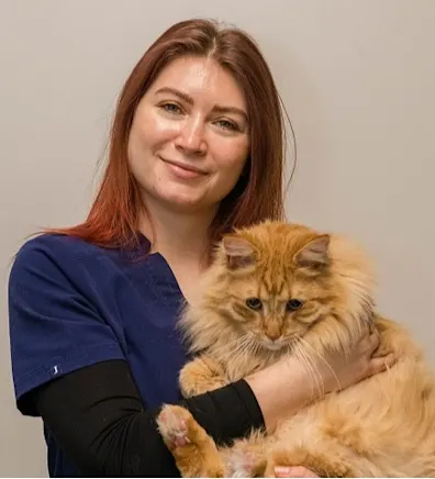 Erick Rodriguez with cat at Battery Park Veterinary Hospital Erick Rodriguez with cat at Battery Park Veterinary Hospital