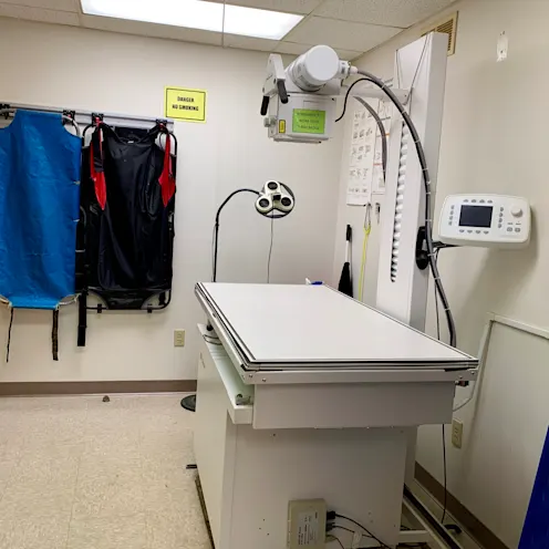 Xray Area at Camboro Veterinary Hospital Xray Area at Camboro Veterinary Hospital