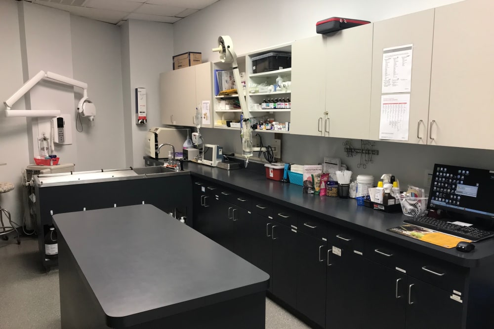 Countryside Veterinary Clinic of Richmond Laboratory area