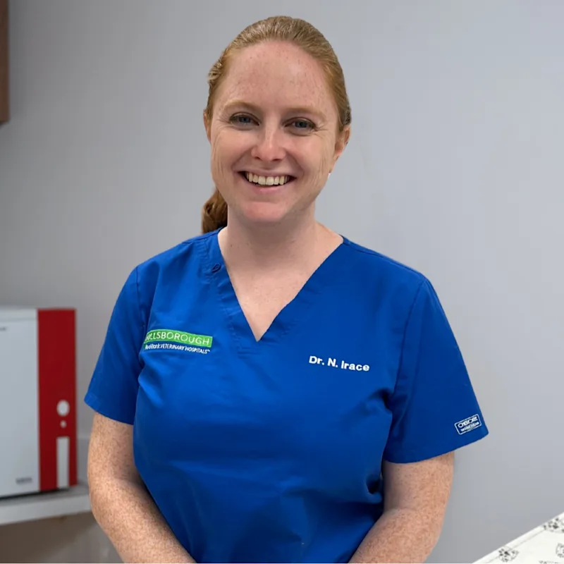 Nicole Irace Nicole Irace