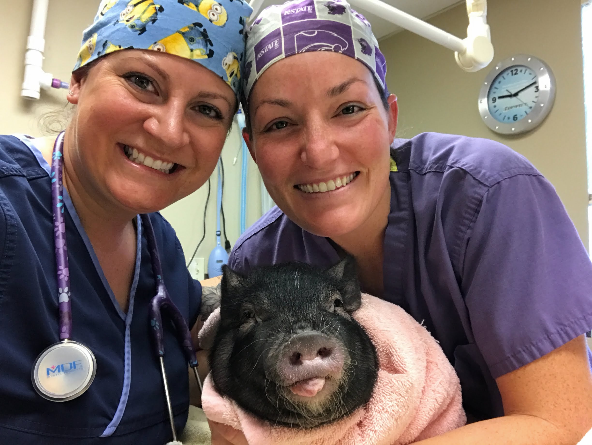 Peotone staff holding a pet pig