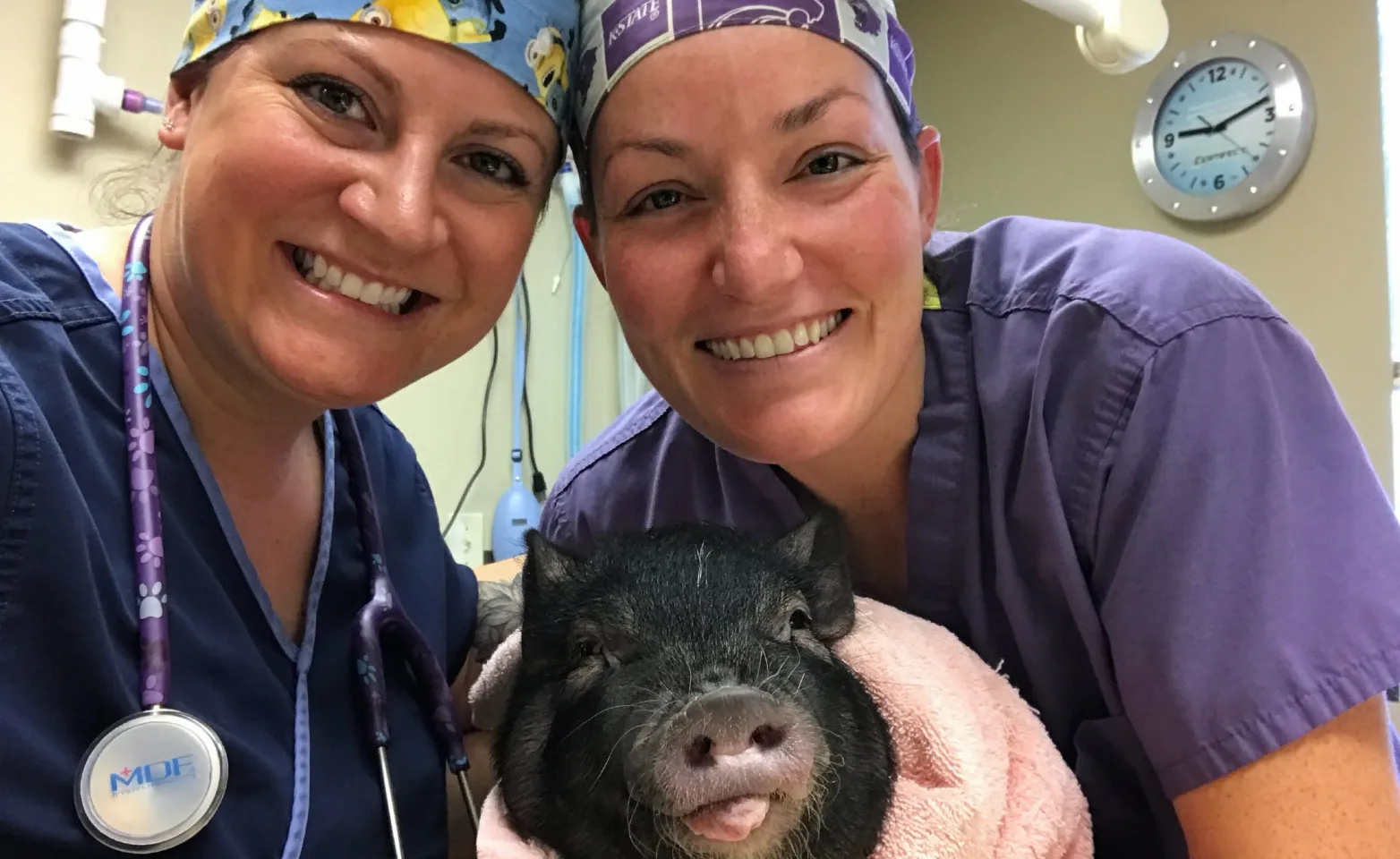 Peotone staff holding a pet pig