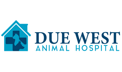 Due West Animal Hospital Logo