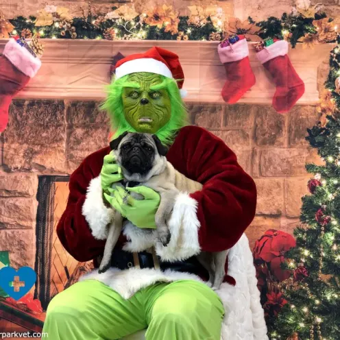 Oneil with the Grinch at Hanover Park Animal Care Center