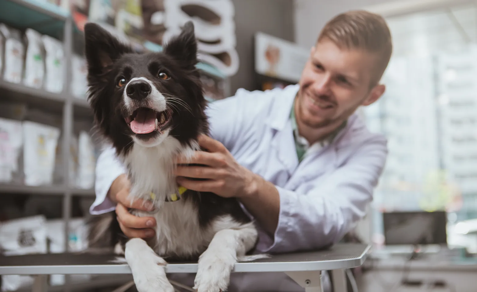 Happy Dog laying on top of a clinic table with a veterinarian