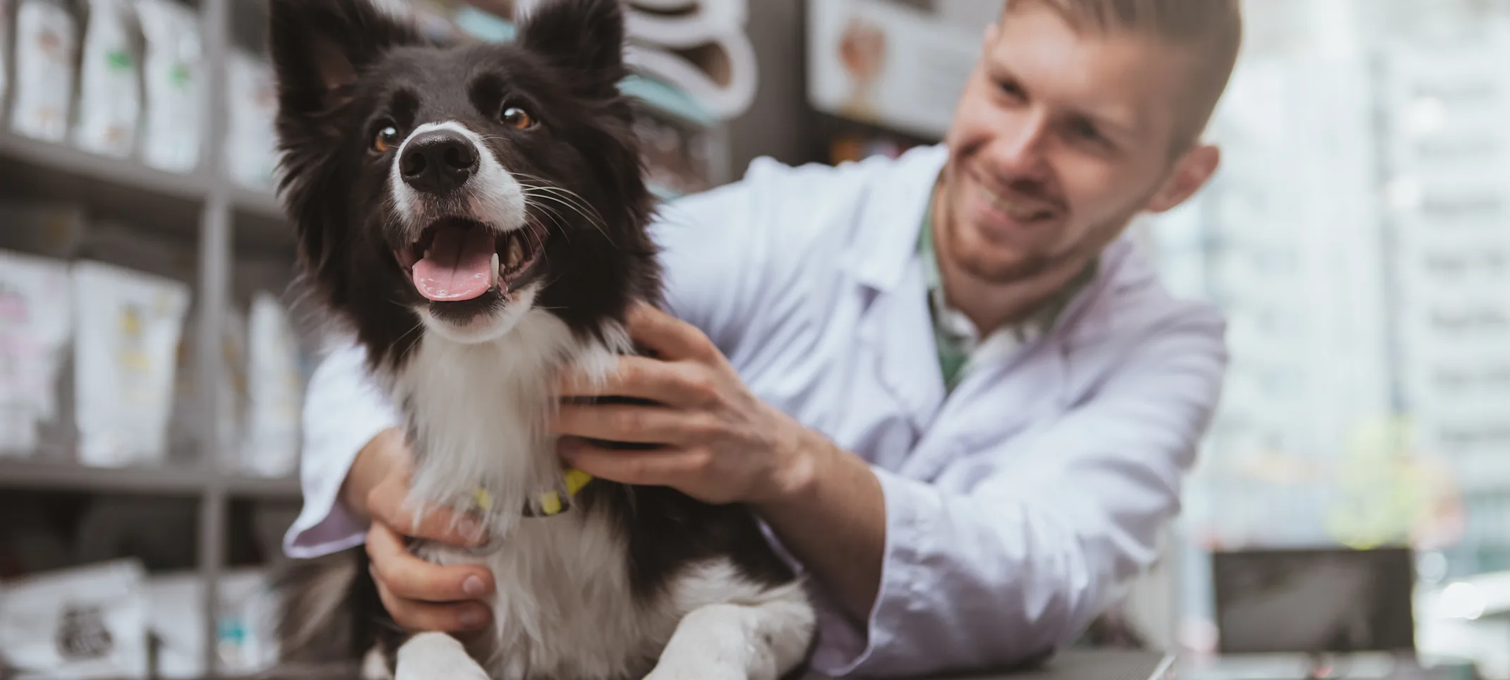 Happy Dog laying on top of a clinic table with a veterinarian