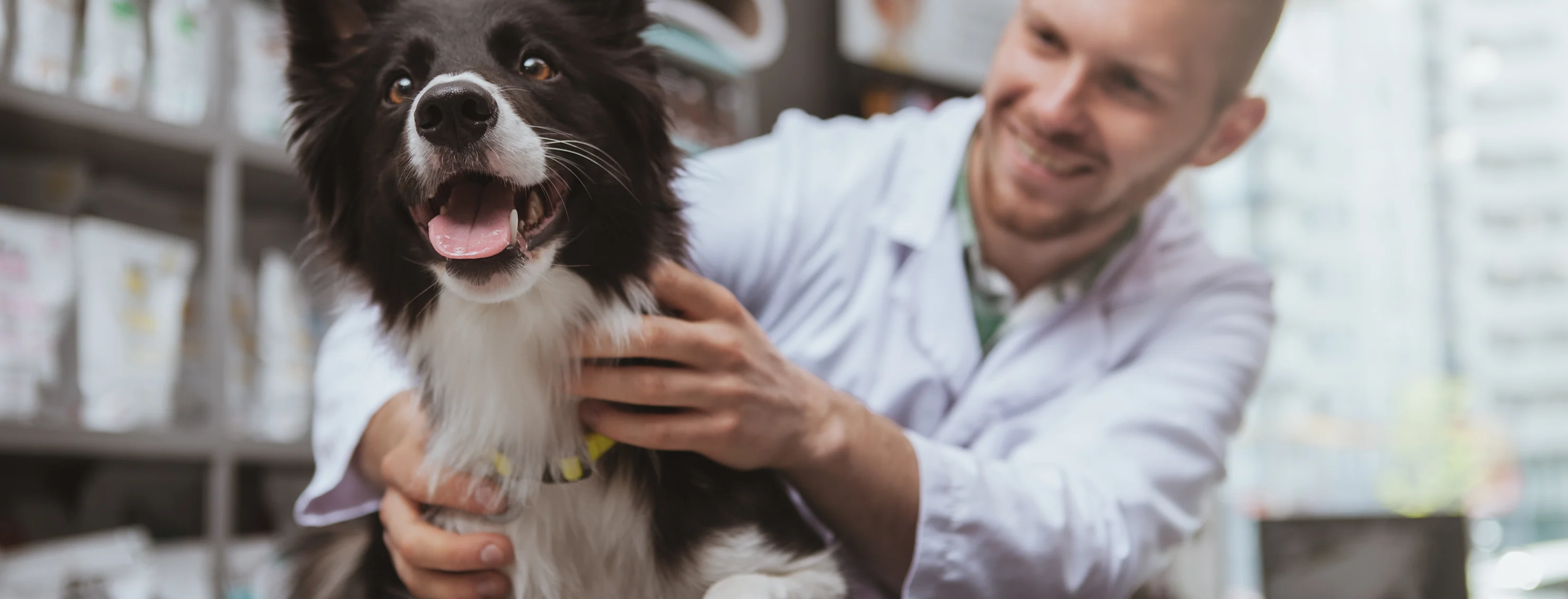 Happy Dog laying on top of a clinic table with a veterinarian