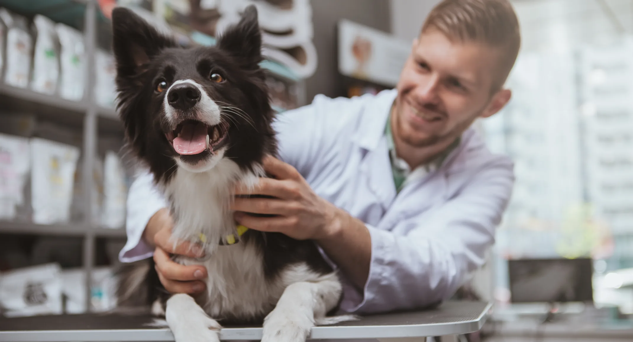 Happy Dog laying on top of a clinic table with a veterinarian