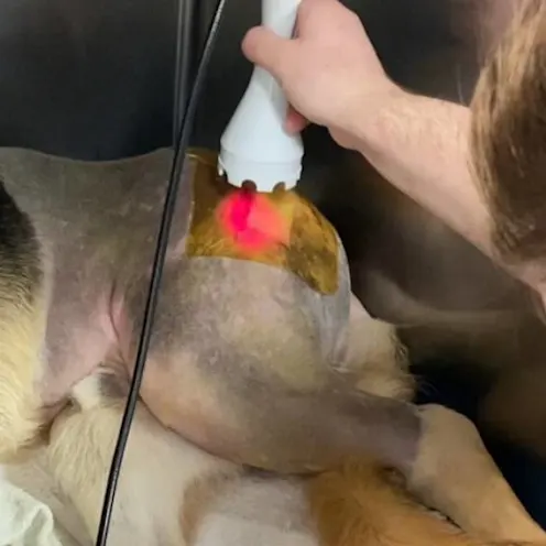 Laser Therapy at AMC of Hattiesburg. Laser Therapy at AMC of Hattiesburg.