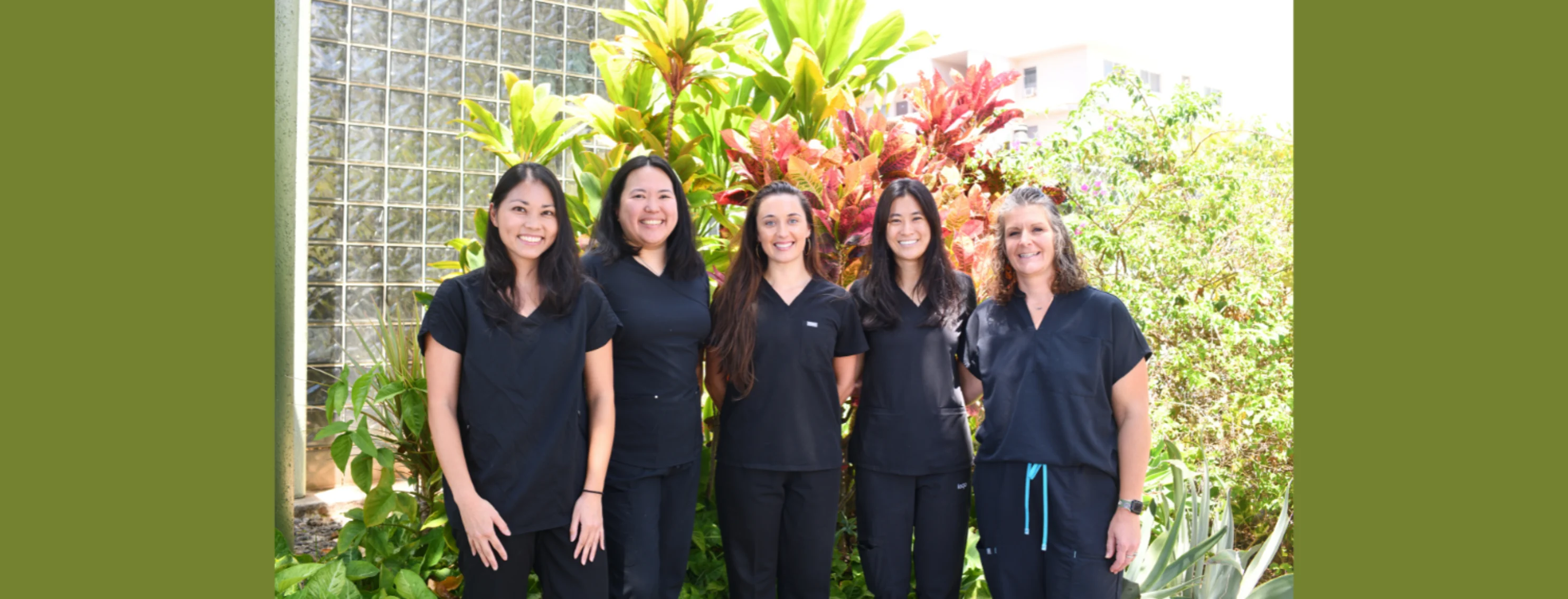 DVMs at King Street Pet Hospital DVMs at King Street Pet Hospital