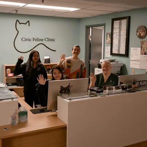 Reception Team Reception Team