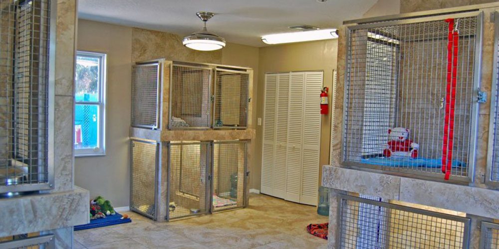 Advantage Pet Center Boarding