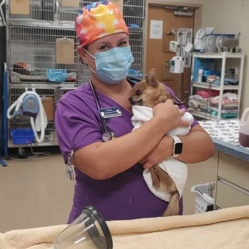 Staff member dressed in purple holding a little dog wrapped in a white towel