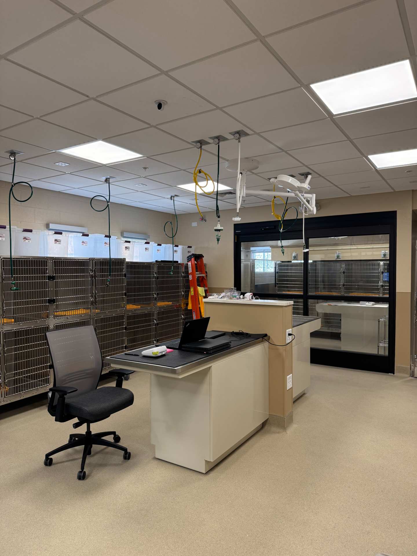 Operating table in front of a line of kennels.