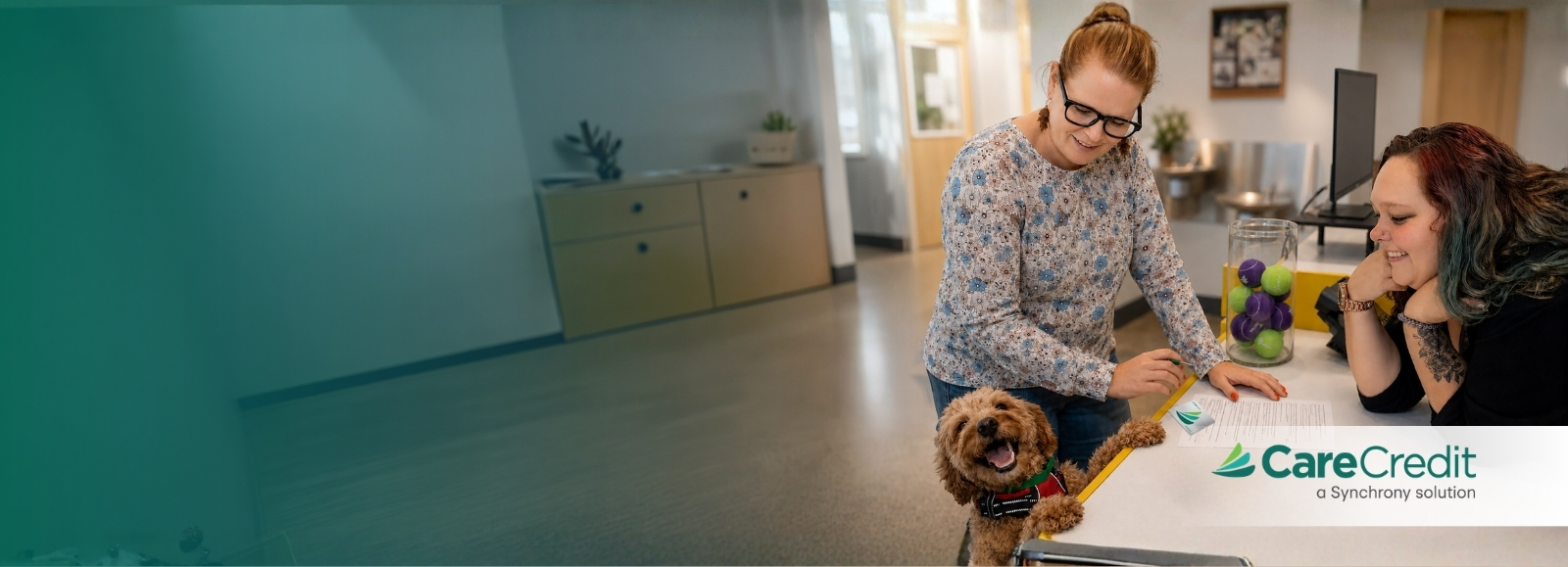 Dog and Staff at desk - Care Credit