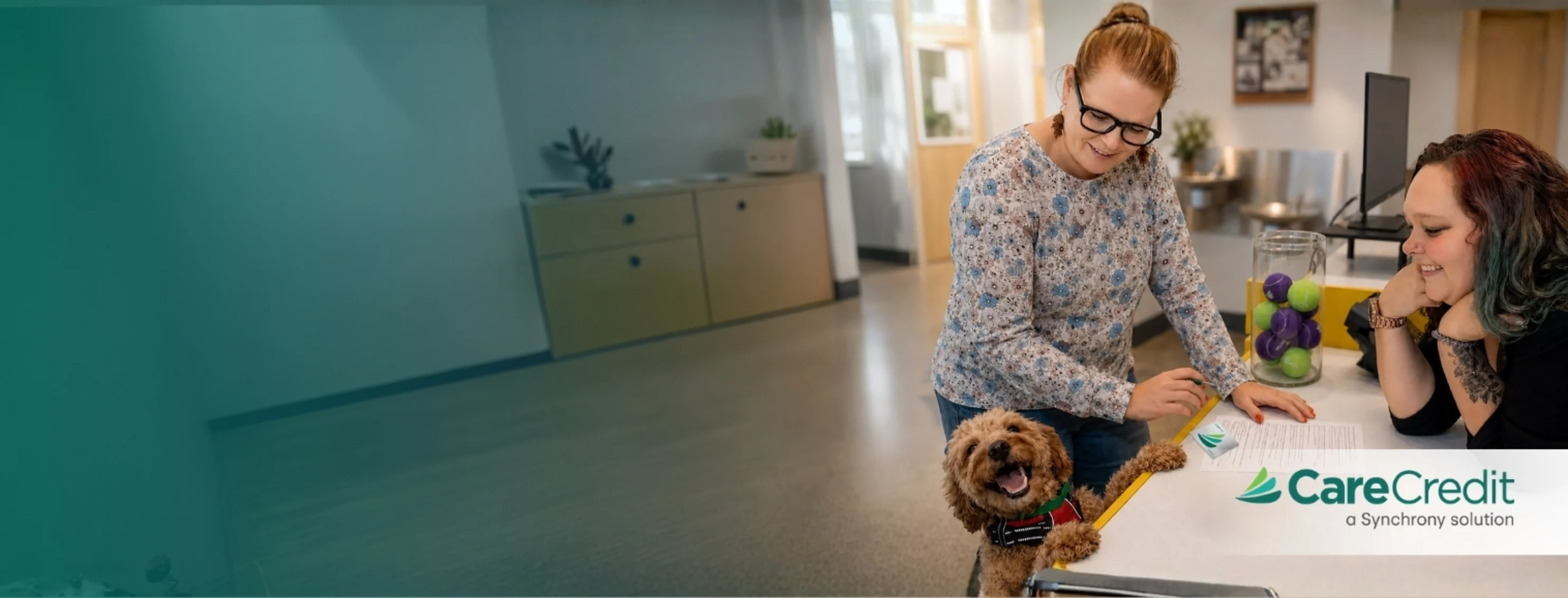 Dog and Staff at desk - Care Credit Dog and Staff at desk - Care Credit