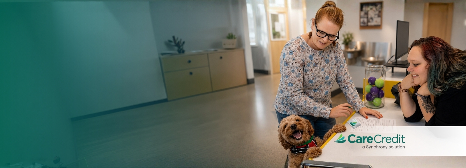 Dog and Staff at desk - Care Credit