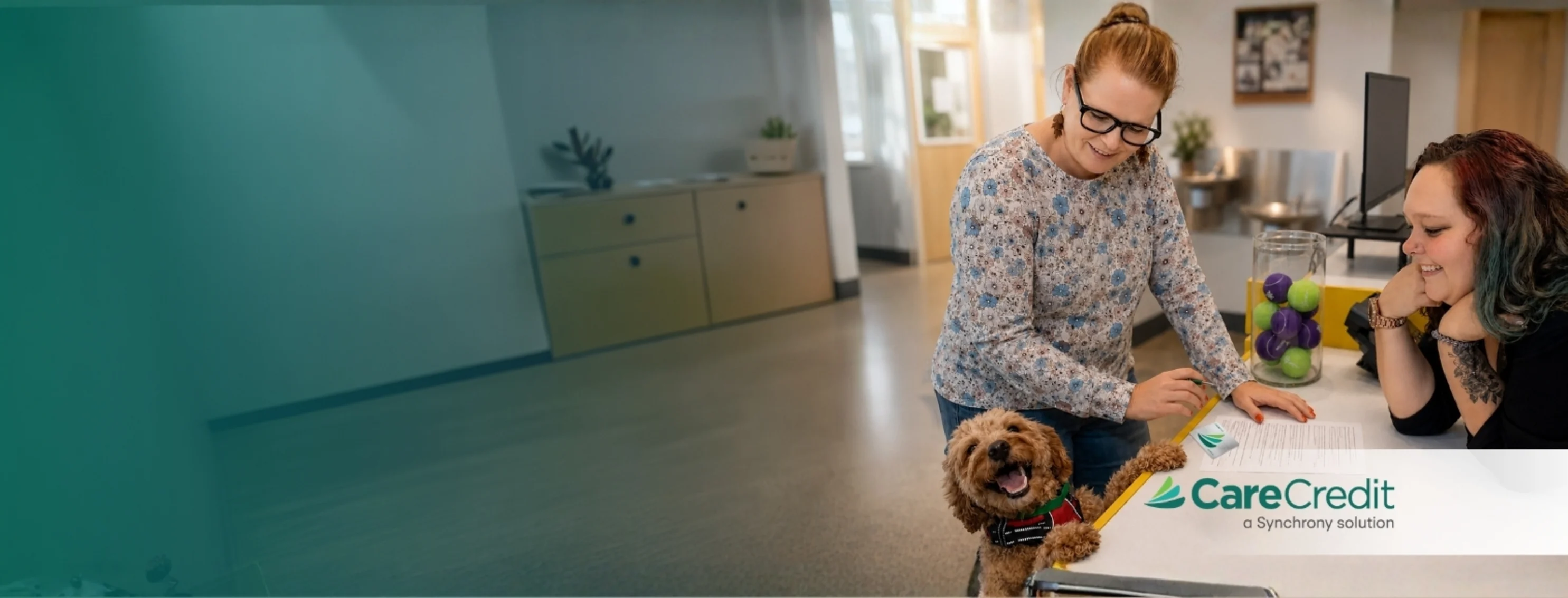 Dog and Staff at desk - Care Credit Dog and Staff at desk - Care Credit