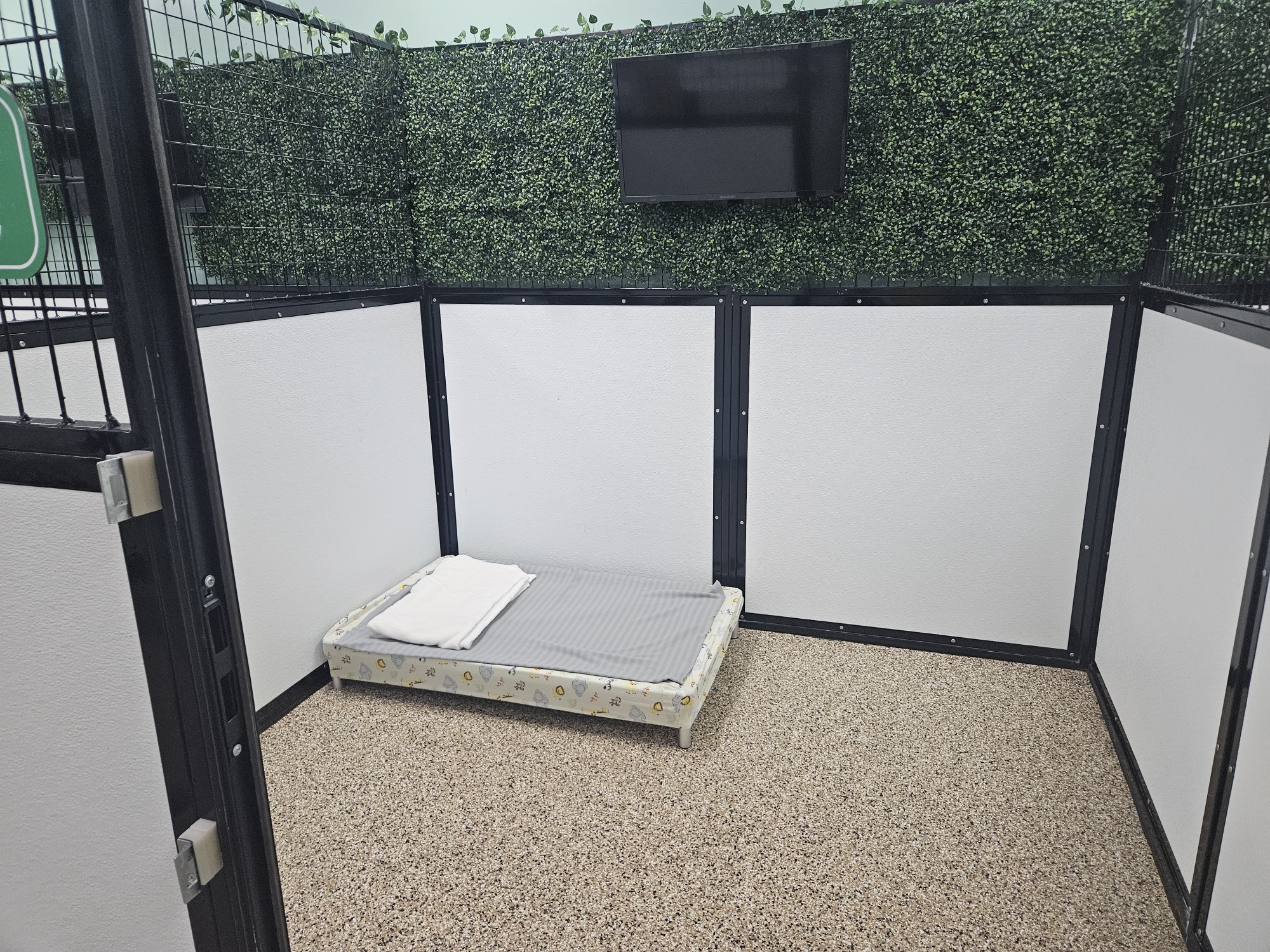 Park Place inside of the kennel