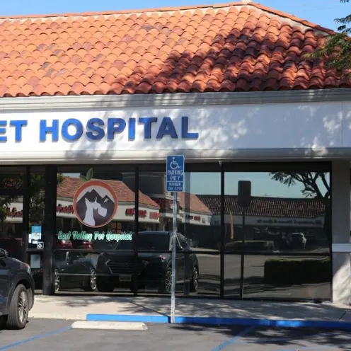 Front entrance to East Valley Pet Hospital