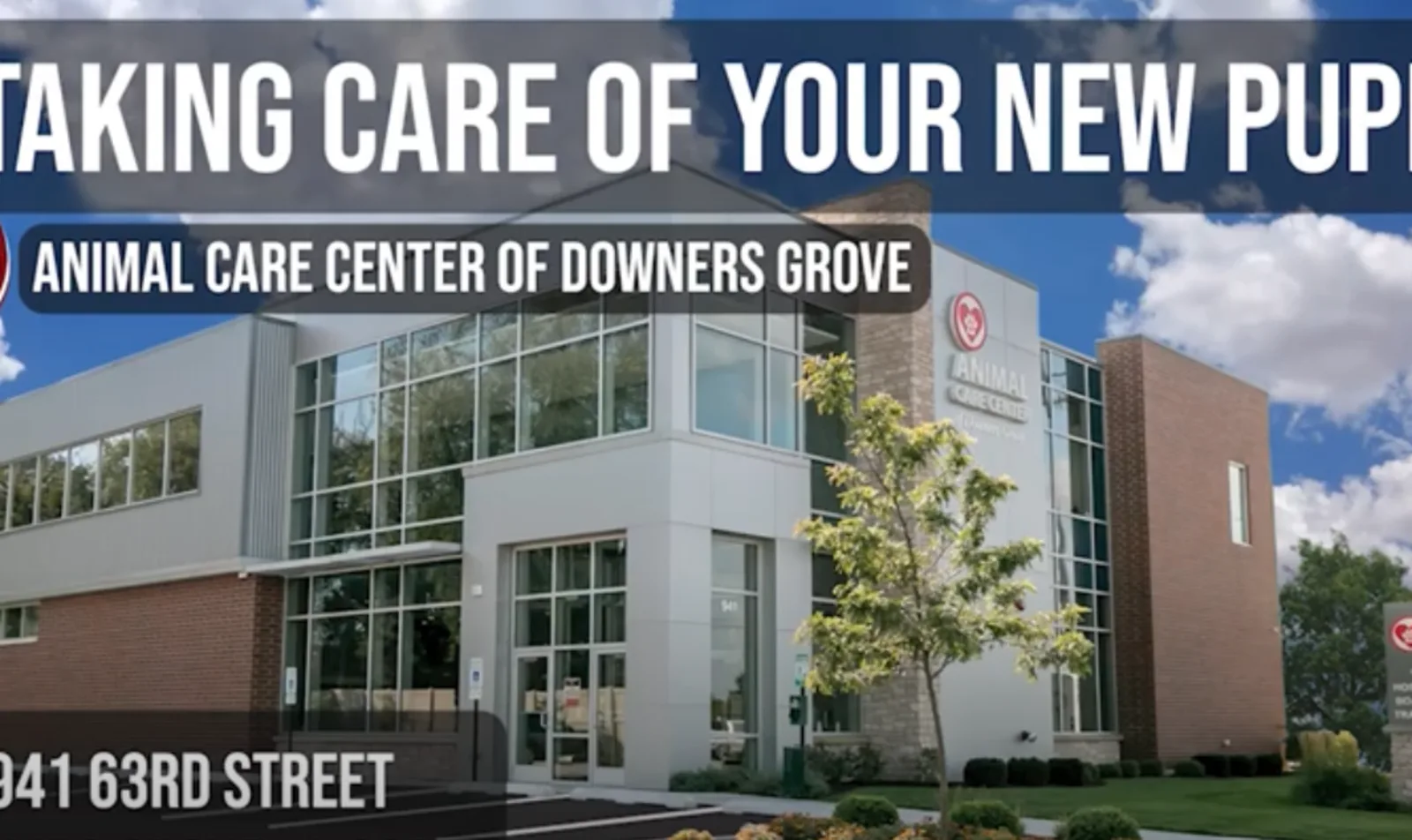 Animal Care Center of Downers Grove Informational Video