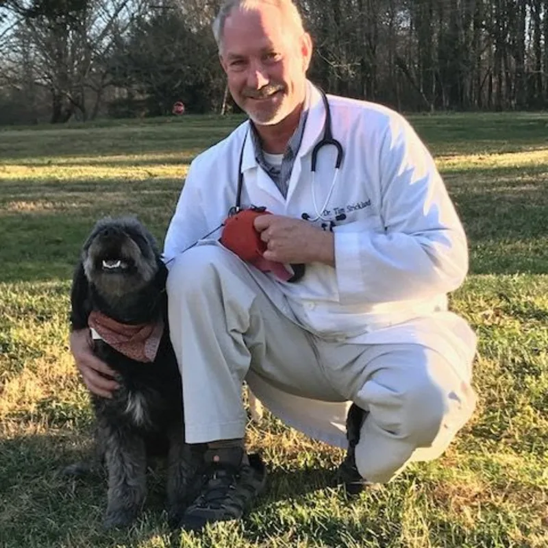 Dr. Tim Strickland Dr. Tim Strickland