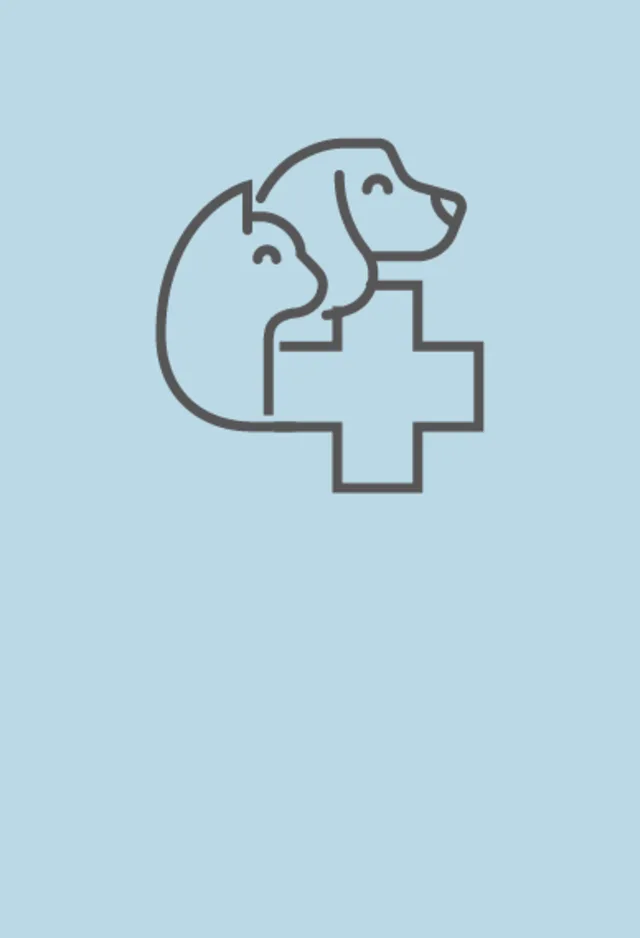 wellness care icon wellness care icon