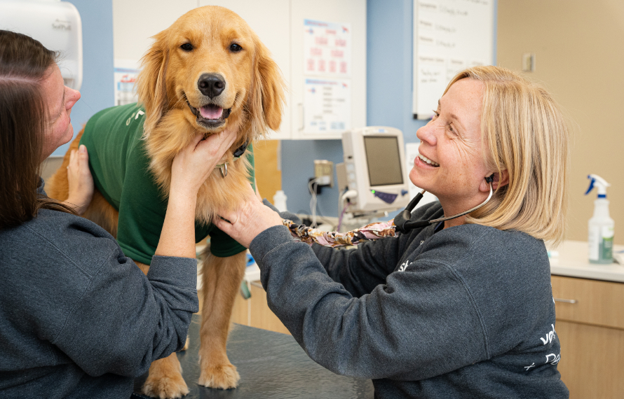 Dr. Alverson with Golden Retriever